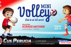 CusPG_2018-19__MiniVolley